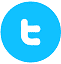Small Logo Twitter